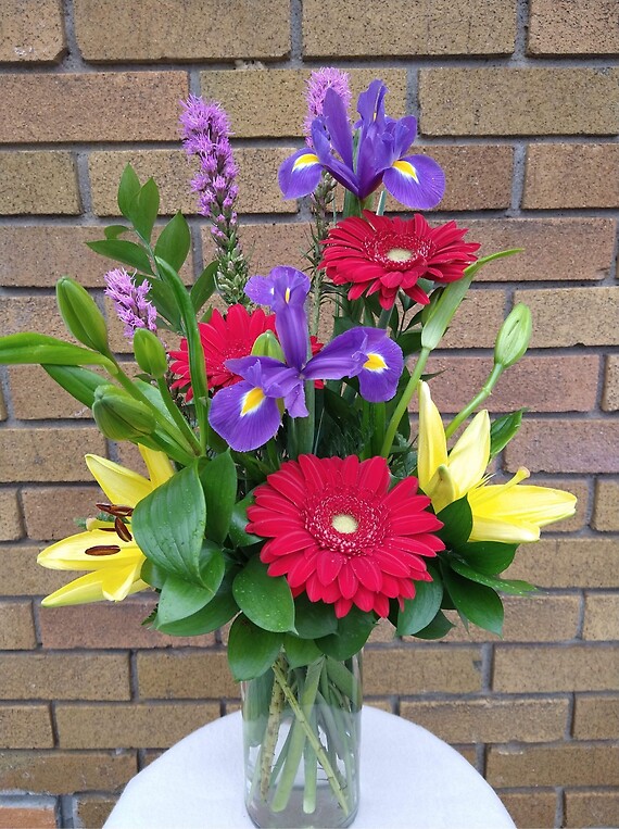 Gerbera Greetings