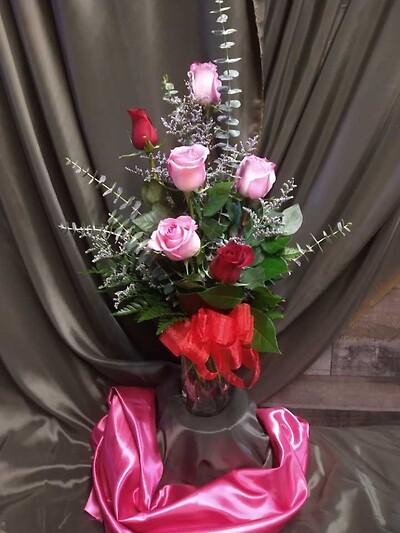 Half Dozen Mixed Colored Rose&#039;s for Valentine&quot;s Day