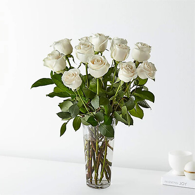 Elegant Dozen White Roses